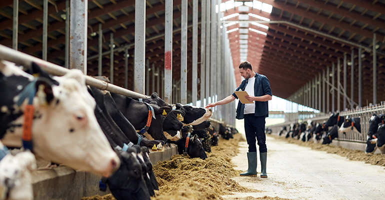 Credit: © AdobeStock/Syda Productions